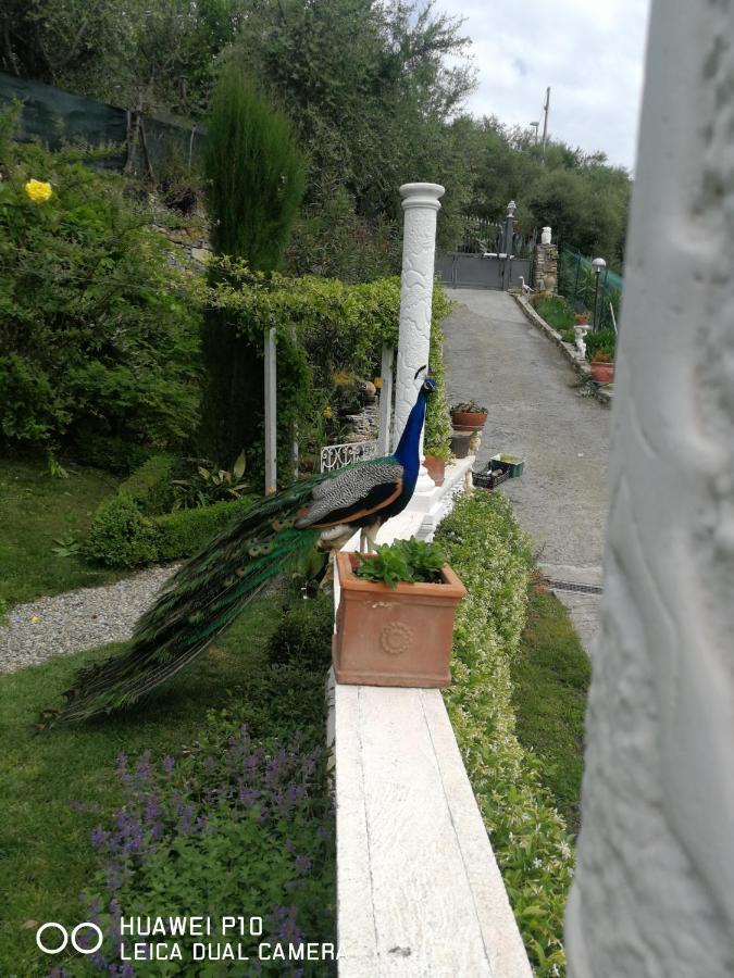Villa Anna Torria Buitenkant foto
