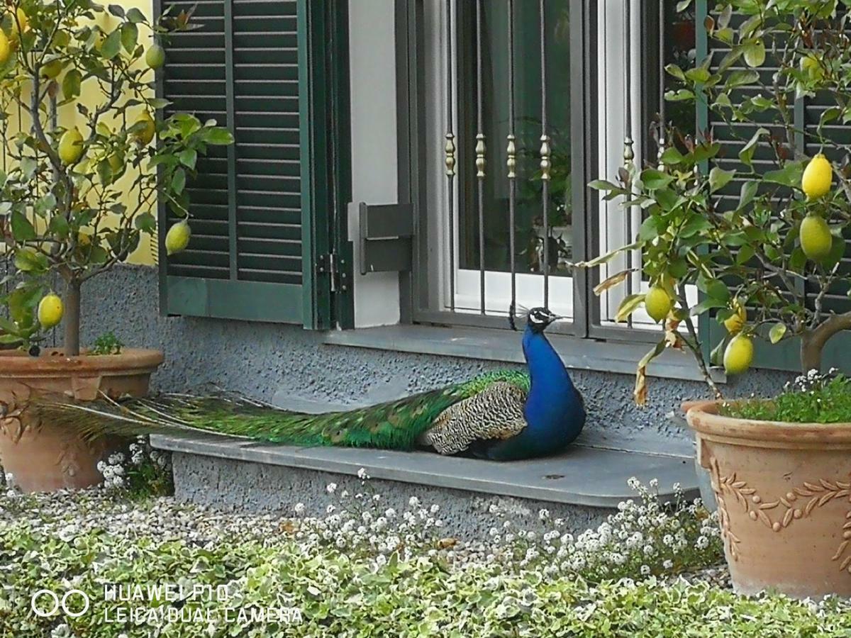 Villa Anna Torria Buitenkant foto